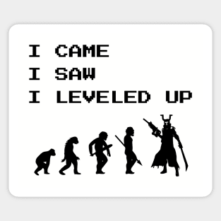 I Came I Saw I Leveled Up Gamer Video Games Fan Sticker